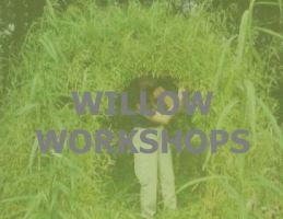 willow workshops